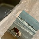 우프밀(woofmeal) 이미지