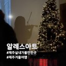 중산간서로 | 제주 실내 가볼만한곳 추천, 겨울 감성 가득한 알레스아트 애니메이션 지브리 OST 섀도우콘서트 후기