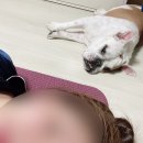 너만멍냥 이미지