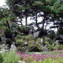 강원도립화목원 이미지