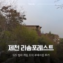 다락방 | 제천 리솜포레스트 콘도 S25 빌라 객실 후기, 부대시설 조식까지 가족 여행으로 추천