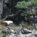 우리강산 이미지