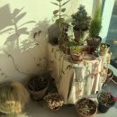 봉곡동387 | 창원 봉곡동 카페, 그린그린한 오후 - 따뜻한 톤과 자연의 아름다움