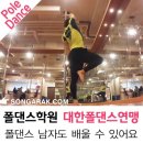 대한폴댄스연맹학원 이미지