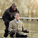 오드리 독 이미지