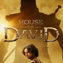 David&Company