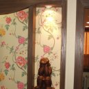 미소담은한의원 이미지