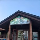 매일유통 | 학성유통 용인한우맛집 입안에서 살살 녹는 한우 특수부위 리얼 후기