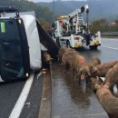 옹기종기 이미지