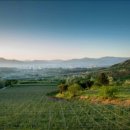 거창농장 이미지