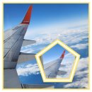 대일관광여행사 이미지