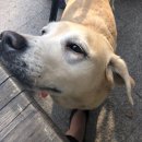 개린이 집합소 이미지