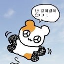 백수 이미지