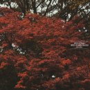 일산북쪽화장실 이미지