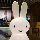 역사마법학교(위인반) | 미피와 마법우체통 IN 부산 70주년 기념 전시회 후기