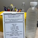 천지인 | [제주 한림] 제주도사주 제주철학관 내관천지인 방문후기