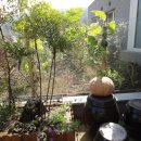 테라스풍경 이미지