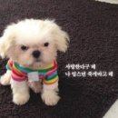 GS25 중곡청운점 | 사랑한다고해, 나업슴 죽게따고해