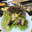 한국서비스 | 서울 홍대 맛집 일편장어 살아있는 자포니카 장어 특급 그릴링 서비스 솔직 후기