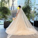 티아라 | 웨딩드레스[22] 본식날 더에이미 드레스 베일, 티아라 후기