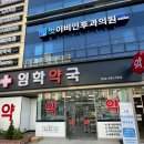 임학약국 이미지