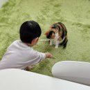 플라워아트 작품 제작 | [부천/신중동] 컵만들기 레진아트 키즈플라워 원데이클래스 초등학생 겨울방학 부천부평 여기꽃이다 8살...