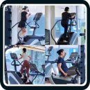 짐나빌레라 이미지