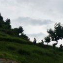 거인자동차정비 이미지