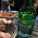 제주명돼지 - 47636 | 제주명돼지