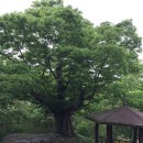 구미리 마을회관 옆 이미지