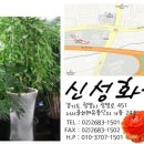 광명농원 이미지