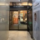 성북구 동물 병원에서 NK PUPPY, 노령견 한방 재활치료받고 왔어요!