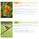 문화의숨결 | 서울특별시 성북구(城北區) 이름에 대한 유래와 역사: 한양도성 북쪽 언덕에 새겨진 문화의 숨결