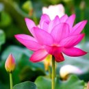 좋은인연 이미지