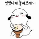 카엔조이 Daum카페