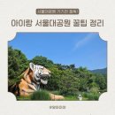 열차와 하루 | 서울대공원 동물원 오픈런 후기 (주차, 코끼리열차, 리프트, 동선 꿀팁 총정리)