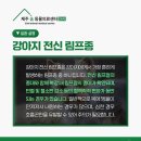 제주24시숨동물의료센터 이미지