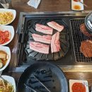 황금꽃돼지 이미지