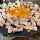 영덕 아쉬웠던 프리다이빙🩵 영덕 펜션 편백채 추천, 포항 카페 선류산장