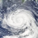 태풍이네 이미지