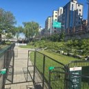 댕실댕실 이미지