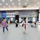 삼송백호태권도장 이미지