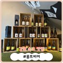 술비어 | [강원 속초 맛집] 울산바위 뷰의 수제 맥주 맛집! &#39;몽트비어&#39;
