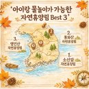 축령산편백하우스 | [공지] 아이랑 물놀이 가능한 자연휴양림 Best 3 (계곡, 물놀이장)