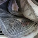 지에스(GS)25관악까치점 | [블챌/주간일기] 새로운 고양이 까미, 갓생 도전