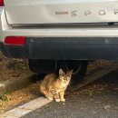 유한책임회사 닥터리본 | 녹음이 짙어진 유월에