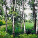 자작나무 숲 이미지