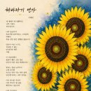 다선 Daum카페