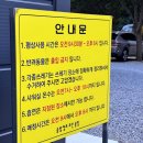 솔밭캠프