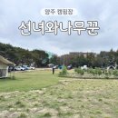 오토마스타 부분정비 | 양주 선녀와나무꾼 캠핑장 아이랑 서울 근교 오토캠핑장 솔직후기